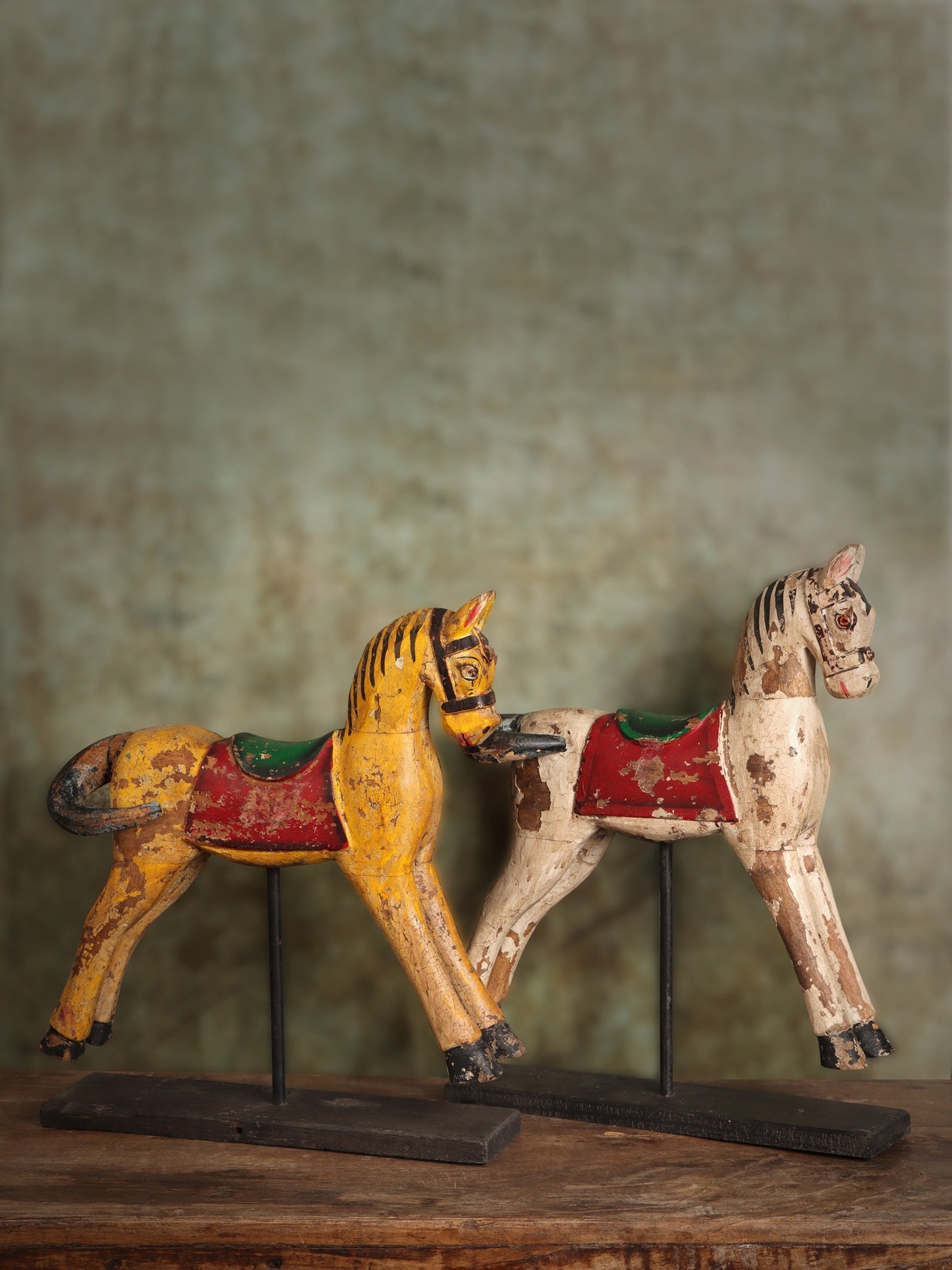 Gallop Through Time