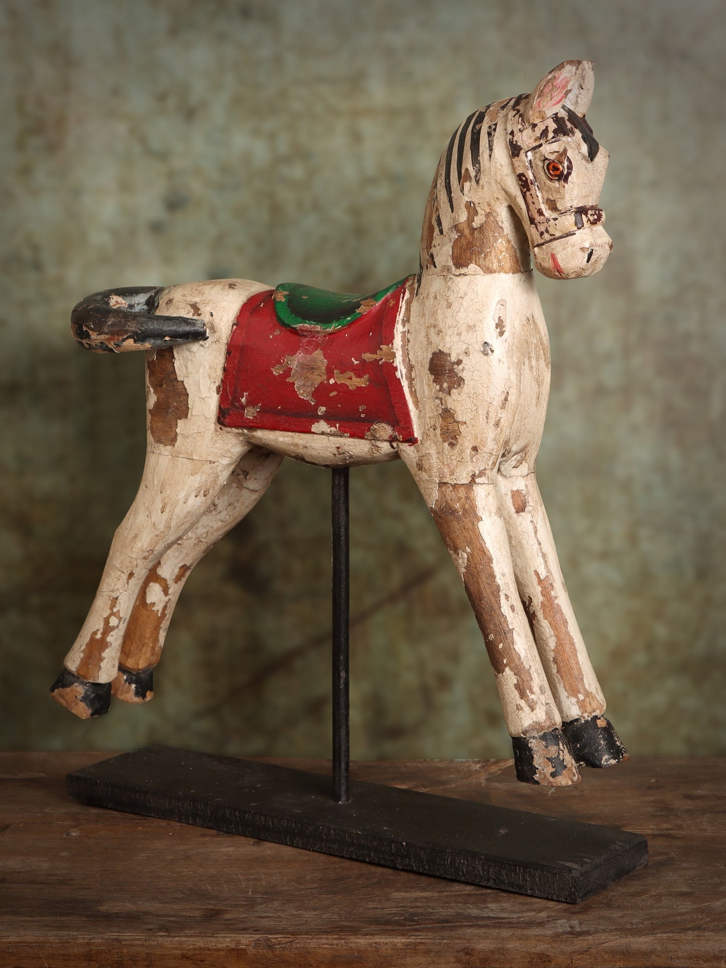 Gallop Through Time