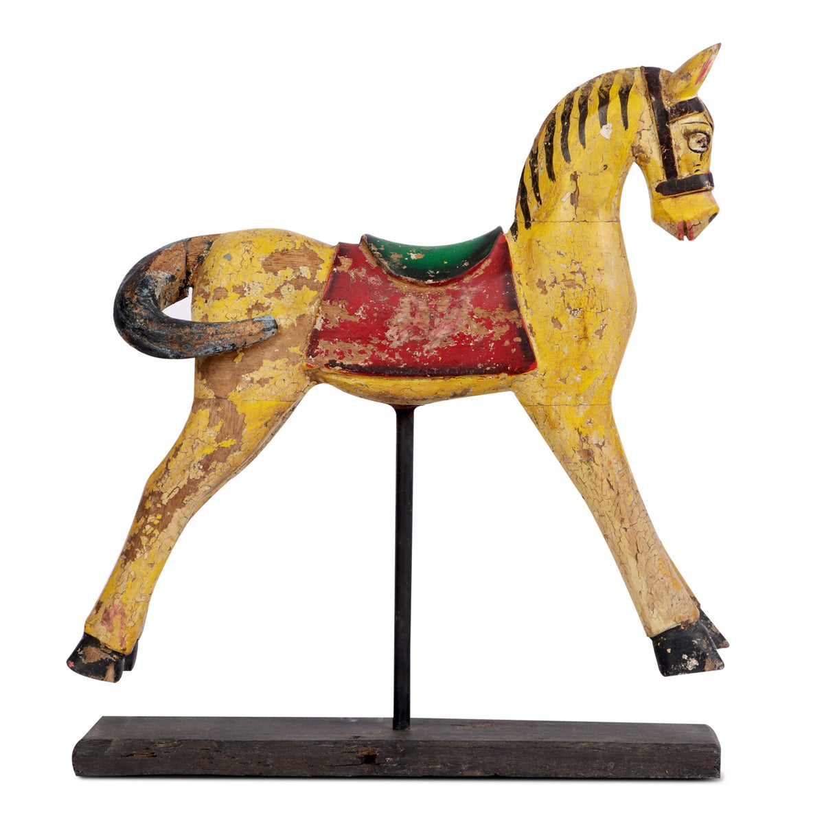 Gallop Through Time